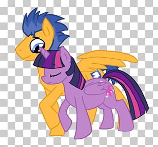 Twilight Sparkle Rainbow Dash Pony Flash Sentry Applejack PNG