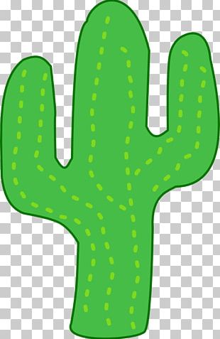 Desenho de cacto verde, Cactaceae Cartoon Saguaro, Cartoon Cactus s, folha,  vertebrado png