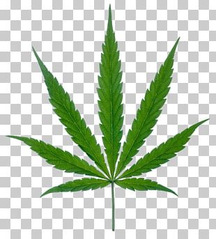 Medical Cannabis Hemp Tetrahydrocannabinol PNG, Clipart, Beautiful Face ...