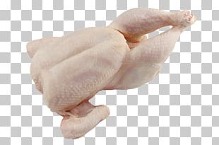 Chicken Meat PNG