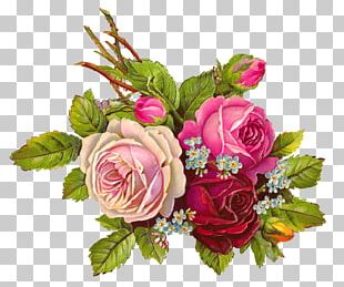 Rose Flower Bouquet Pink Flowers Desktop PNG, Clipart, 1080p ...