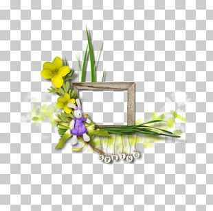Floral Design Cut Flowers PNG