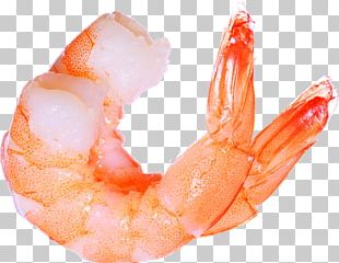 Giant Tiger Prawn Shrimp Indian Prawn Prawns PNG, Clipart, American ...