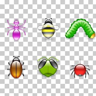 Web Template Icon PNG
