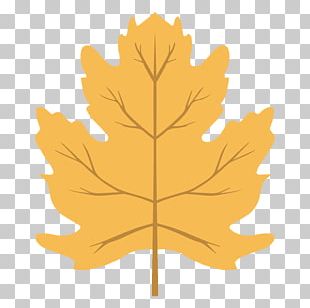 Drawing Maple Leaf Autumn Leaf Color Colored Pencil PNG, Clipart ...