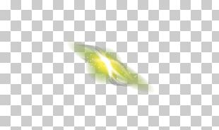 Close-up PNG