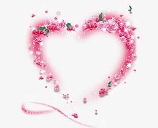 Pink Heart-shaped Roses PNG, Clipart, Heart Shaped, Heart Shaped ...