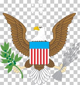 Great Seal Of The United States Coat Of Arms Federal Government Of The ...