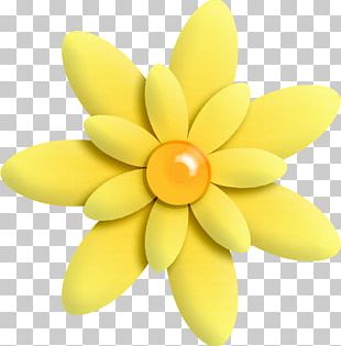 Flor Amarela PNG Images, Flor Amarela Clipart Free Download