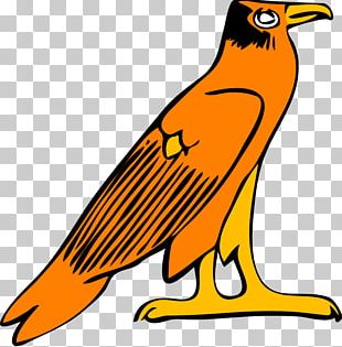 Falcon Cartoon PNG, Clipart, Artwork, Bald Eagle, Beak, Big Wings, Bird ...