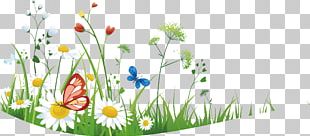 Meadow Wildflower Plant Flower Grass PNG, Clipart, Flower, Grass, Grass ...