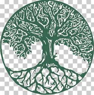 Tree Of Life Tattoo PNG, Clipart, Angle, Art, Black And White, Branch ...