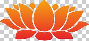 Nelumbo Nucifera Bodhisattva Buddhism PNG