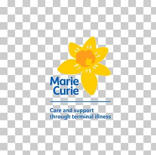 Marie Curie Cartoon Physicist Chemist PNG, Clipart, Boy, Brown Hair ...