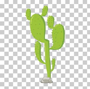 Cartoon Plant Cactaceae Drawing PNG, Clipart, Balloon Cartoon, Boy ...