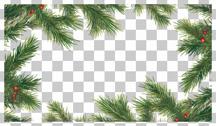 Christmas Pine Frame - Festive Pine Tree Frame With Red Berries PNG