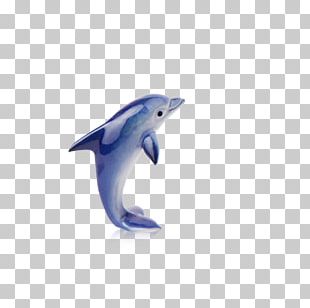 Dolphin Operating System Computer File PNG