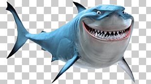 Marlin Bruce Great White Shark PNG, Clipart, Animals, Barry Humphries ...