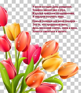Easter Bunny Flower Bouquet PNG
