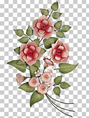 Centifolia Roses Cut Flowers Floral Design Flower Bouquet PNG, Clipart ...