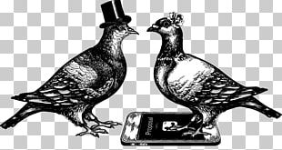 Chicken Wedding Ceremony Brewery White PNG
