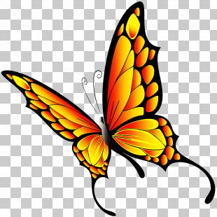 Monarch Butterfly PNG