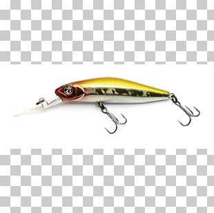 Fishing Floats & Stoppers Fish Hook Fishing Baits & Lures PNG