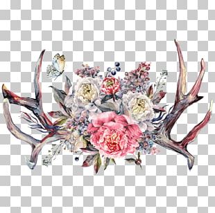 Floral Design Peony Antler Watercolor Painting Drawing PNG