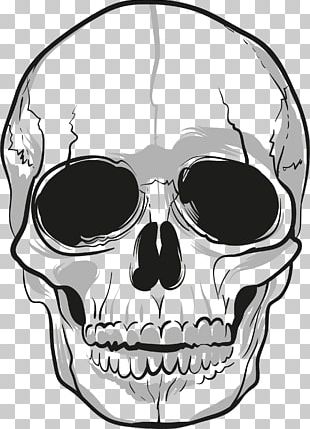 Skeleton Dance Skull Drawing Bone PNG, Clipart, 300 Dpi, Animation, Arm ...