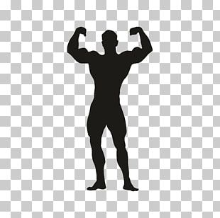 Female Bodybuilding PNG Images, Female Bodybuilding Clipart Free Download