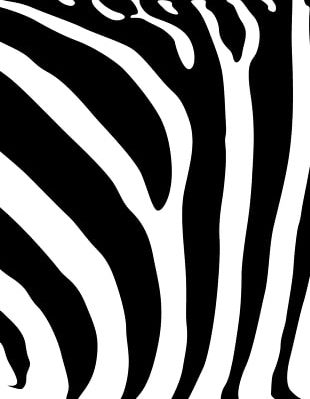 Zebra Napkin Paper Cheetah Animal Print PNG, Clipart, Animals ...