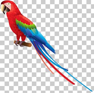 Amazon Parrot Bird Macaw Stock Photography PNG, Clipart, Amazon Parrot ...