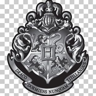 Quidditch Slytherin House Hogwarts Helga Hufflepuff Ravenclaw House PNG ...