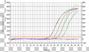 Real-time Polymerase Chain Reaction Reverse Transcription Polymerase Chain Reaction Reverse Transcriptase RNA PNG