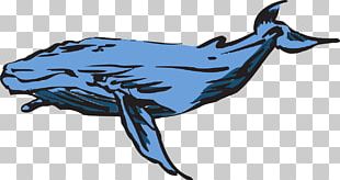 Right Whales Blue Whale PNG