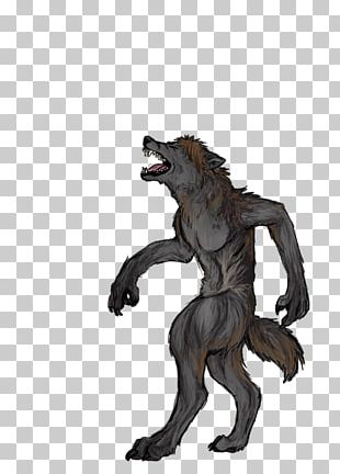 Werewolf Canidae Dog Fox Mammal PNG