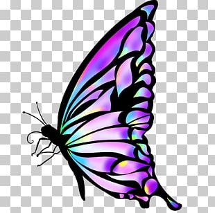 Butterfly Photography PNG, Clipart, Blue Butterfly, Butterflies ...