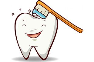 Tooth Brushing Teeth Cleaning Dentistry Human Tooth PNG, Clipart ...