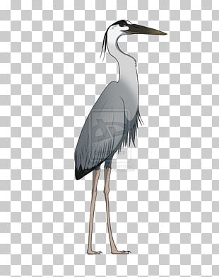 Heron Crane Graphics Bird PNG, Clipart, Artwork, Beak, Bird, Black And ...