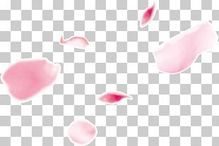 Petal PNG