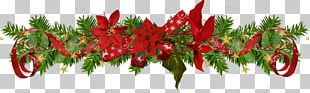 Bird's Eye Chili Avv. ãƒ‘ãƒ³ã‚¿ãƒ¬ã‚ªãƒ»ã‚¤ãƒ³ã‚°ã‚·é€šã‚Š Tabasco Pepper Consiglio D'istituto Dirigente Scolastico PNG