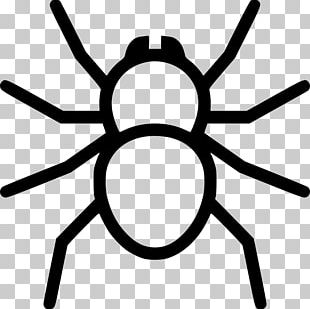 Spider Eight Legs PNG, Clipart, Arachnid, Arthropod, Brown Recluse ...