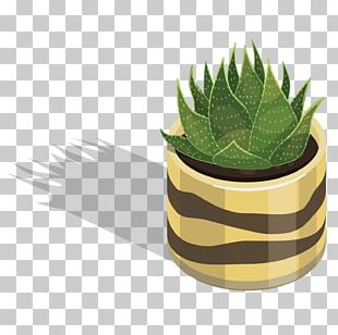 Transparent Cactus Vector Png - Vector Png Cacto, Png Download