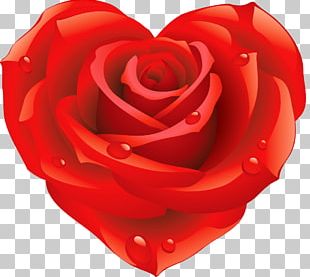 Rose Heart Flower PNG, Clipart, Art, Clip Art, Cut Flowers, Drawing ...