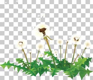 Drawing Dandelion PNG, Clipart, Art, Black, Computer Wallpaper ...