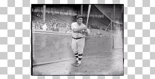 Baseball Chicago Cubs Photography Philadelphia Phillies PNG