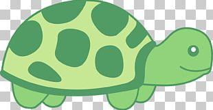 Box Turtle Sea Turtle Turtle Shell PNG, Clipart, Animal, Animals, Box ...