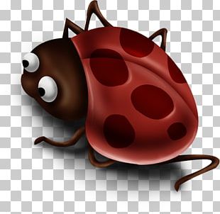 Ladybird Insect PNG
