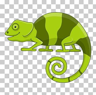 Reptile Chameleons Cartoon Jackson's Chameleon PNG, Clipart, Free PNG ...