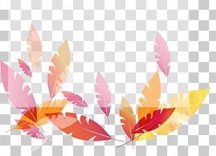 Leaf Decoration Translucent Border PNG